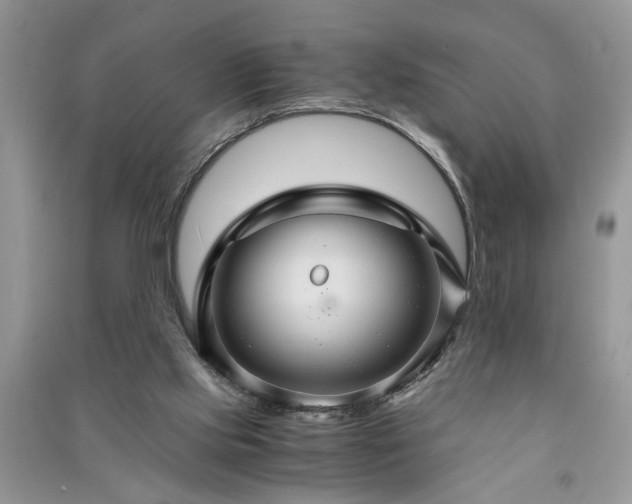 X0000091080061200708131306