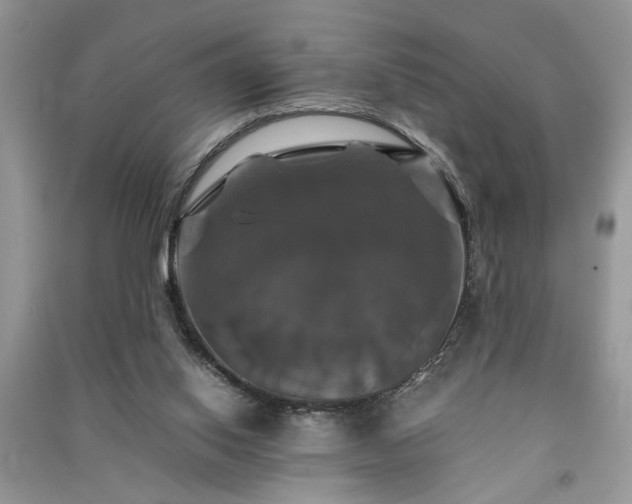 X0000091080062200708131306