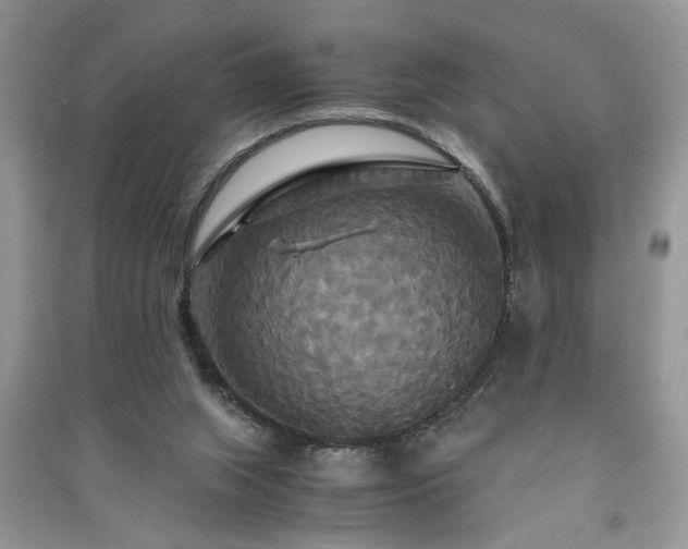 X0000091080063200708131307