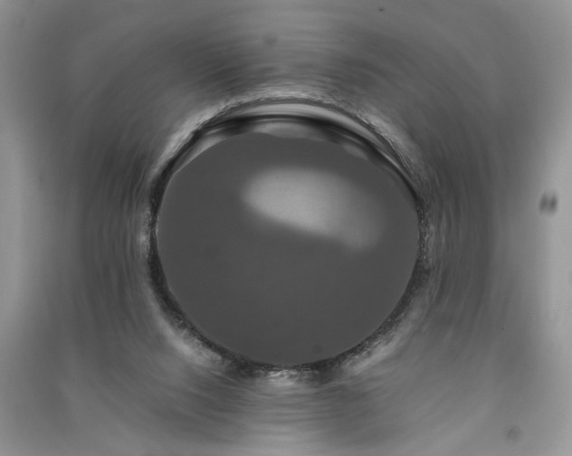 X0000091080064200708131307