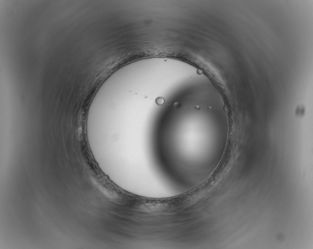 X0000091080065200708131307