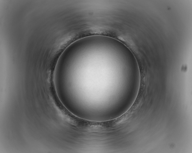 X0000091080066200708131307