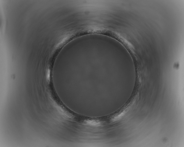 X0000091080067200708131307