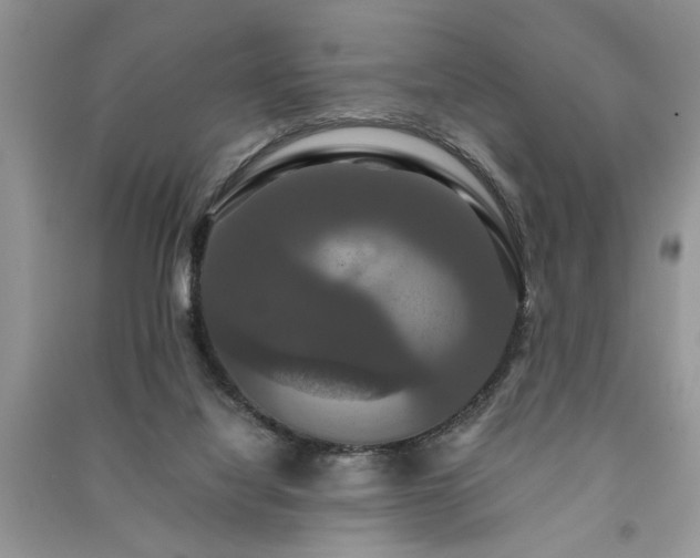 X0000091080068200708131307