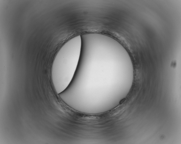 X0000091080069200708131307