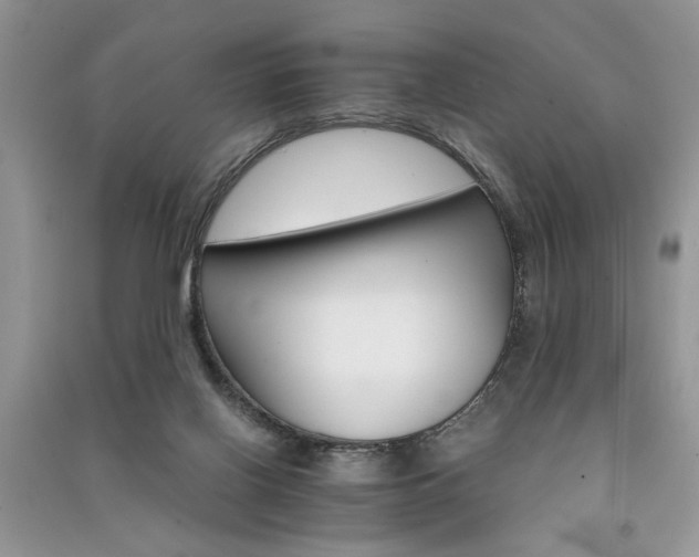 X0000091080070200708131307