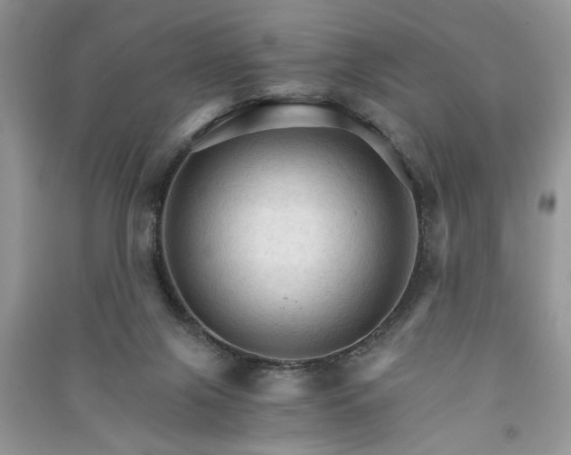 X0000091080071200708131307