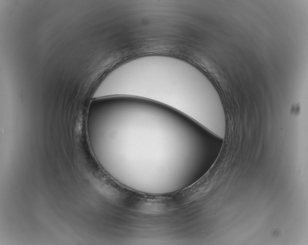 X0000091080072200708131307