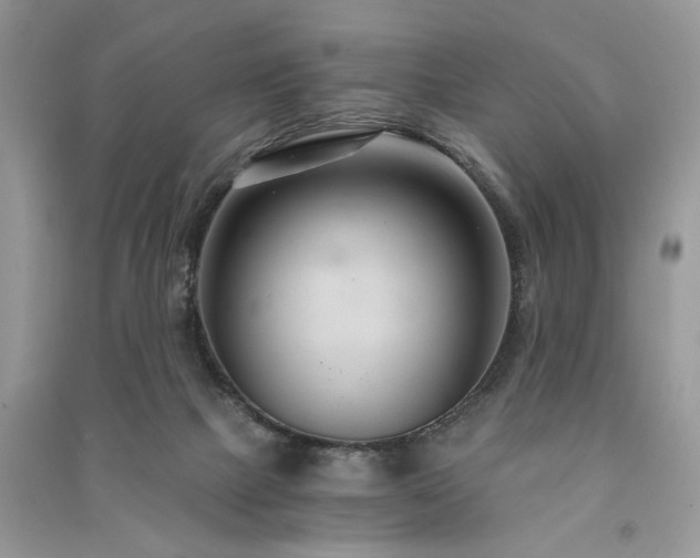 X0000091080073200708131307