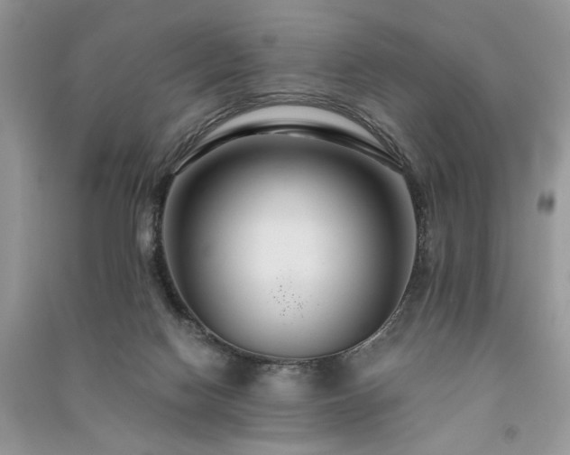 X0000091080074200708131307