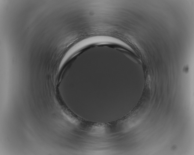 X0000091080076200708131307