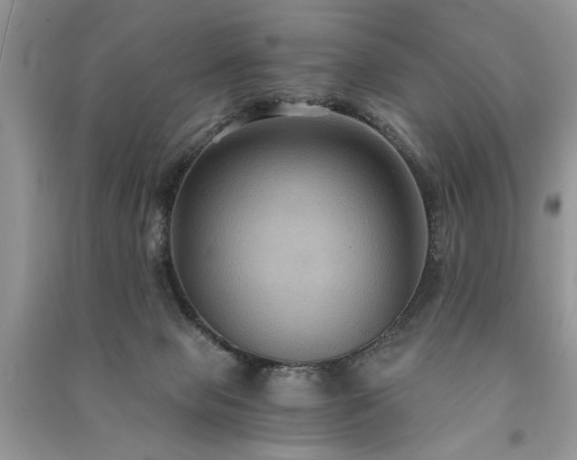 X0000091080077200708131307