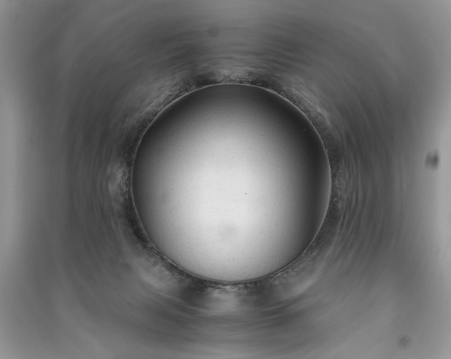 X0000091080079200708131307