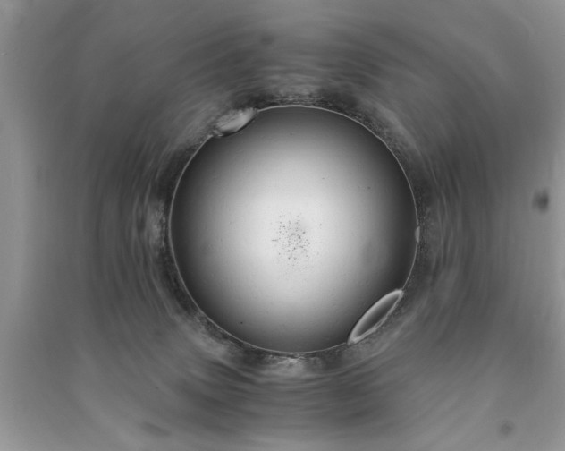 X0000091080083200708131307