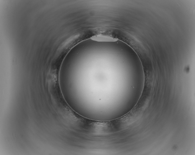 X0000091080085200708131307