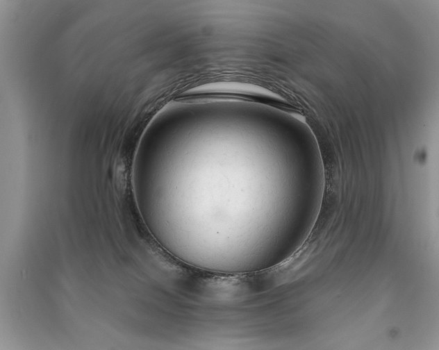 X0000091080086200708131307