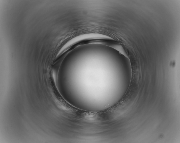 X0000091080088200708131307