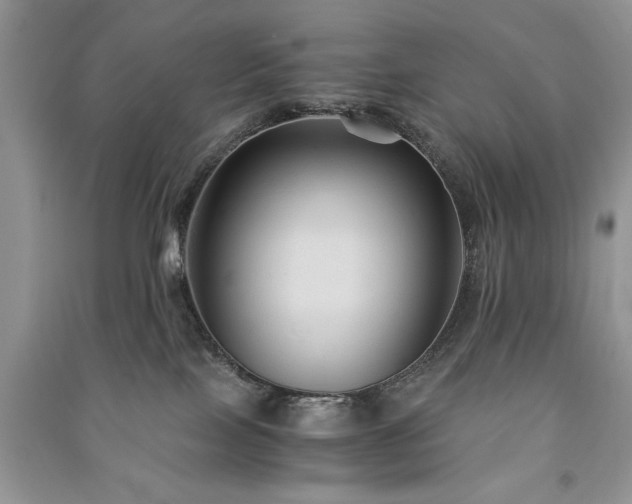 X0000091080089200708131307