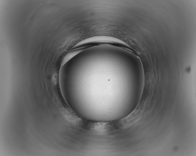 X0000091080090200708131307