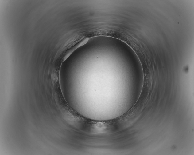 X0000091080091200708131307