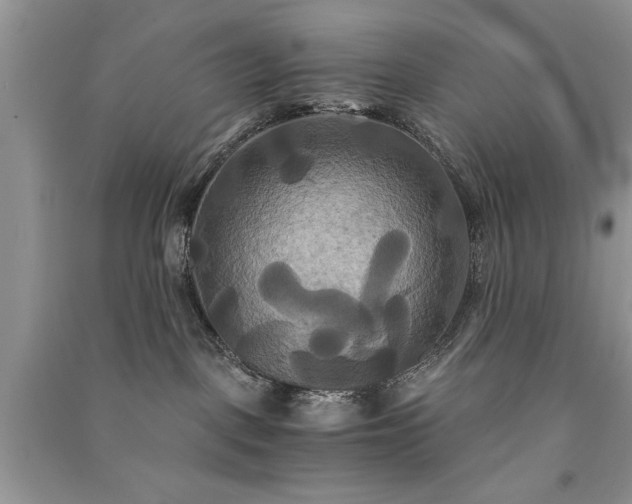 X0000091080093200708131307