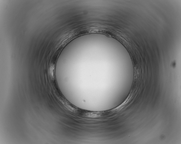 X0000091080094200708131307