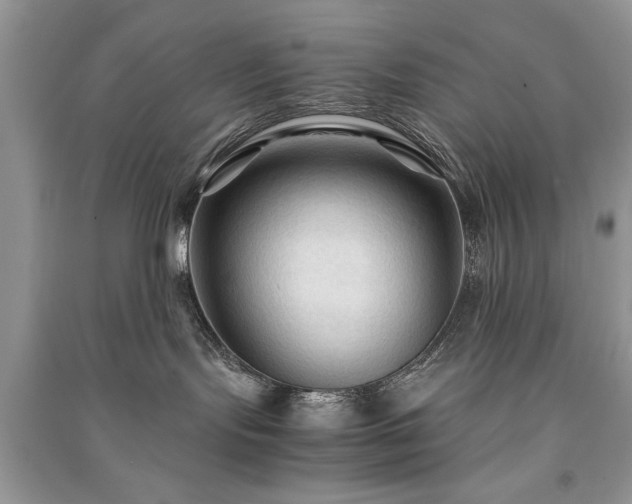 X0000091080095200708131307