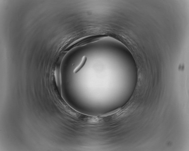 X0000091080096200708131307