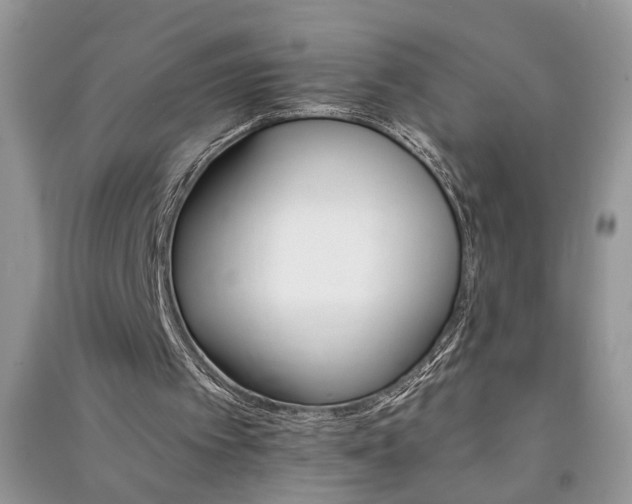 X0000091080097200708131306