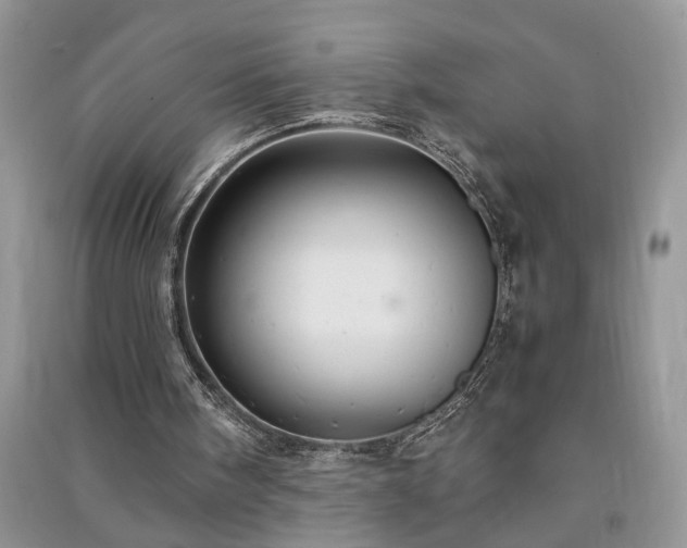 X0000091080098200708131306