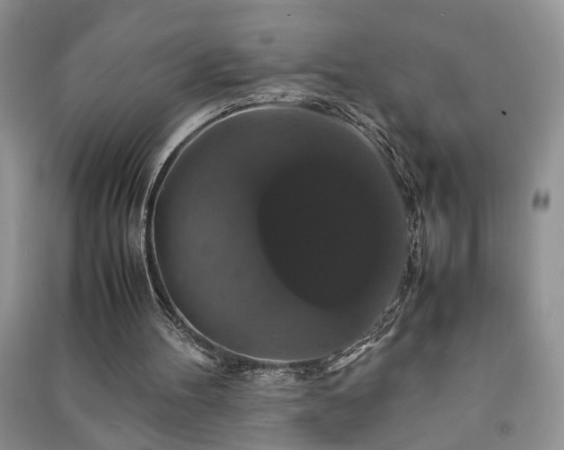 X0000091080100200708131306