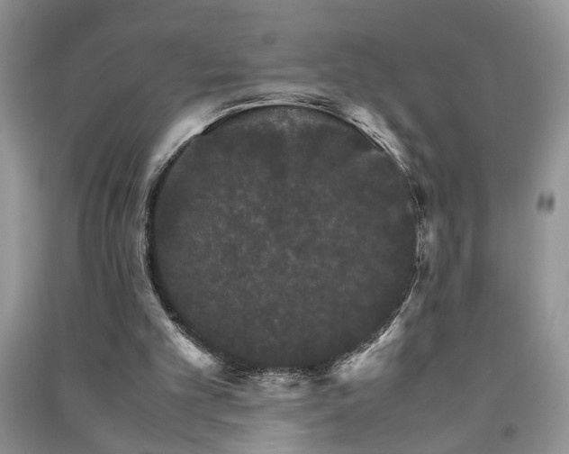 X0000091080101200708131306