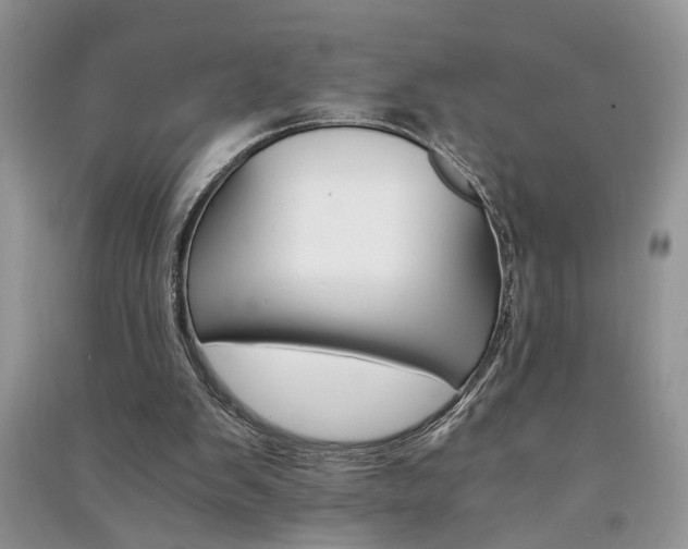 X0000091080103200708131306