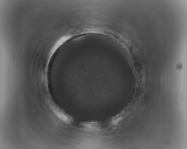 X0000091080104200708131306