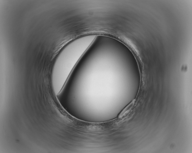 X0000091080105200708131306