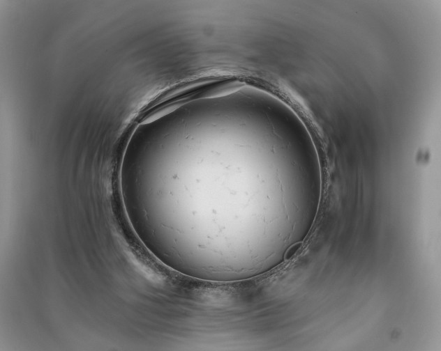 X0000091080106200708131306