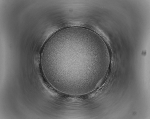 X0000091080107200708131306