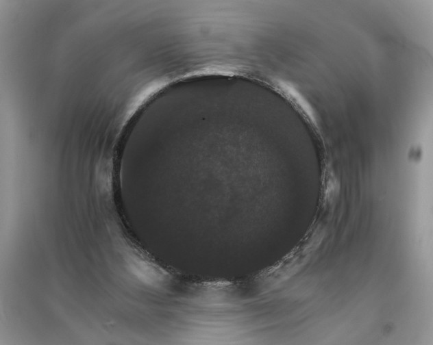 X0000091080108200708131306