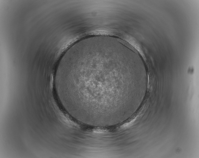 X0000091080109200708131306