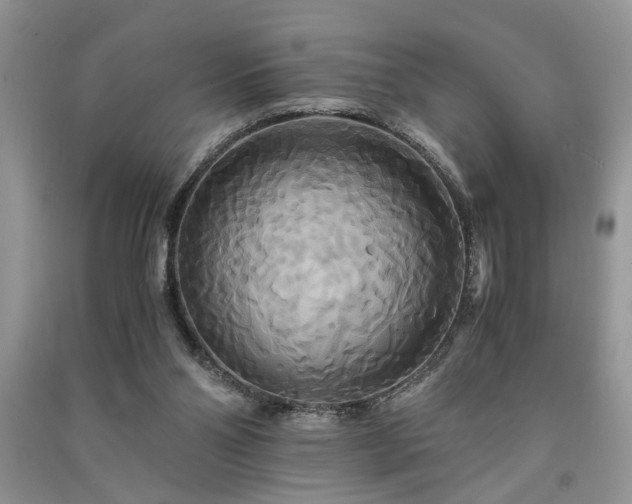 X0000091080110200708131306