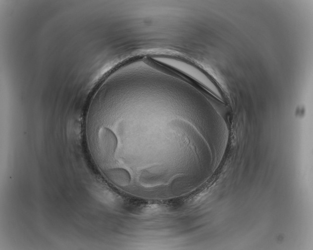 X0000091080111200708131306