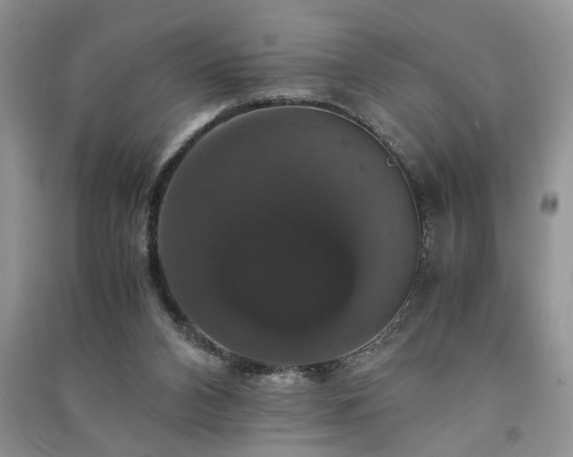 X0000091080112200708131306