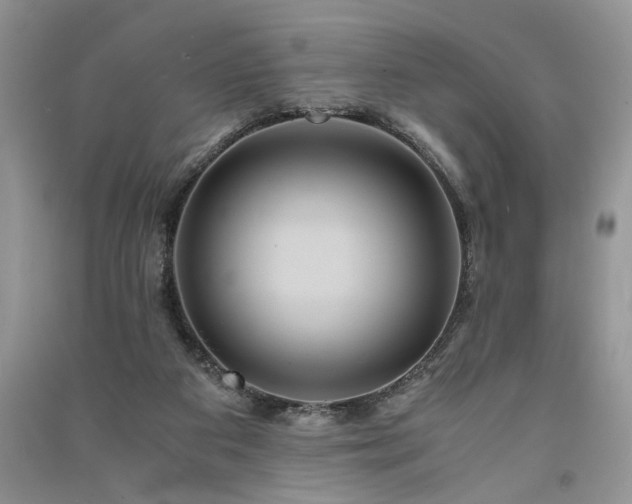 X0000091080113200708131306