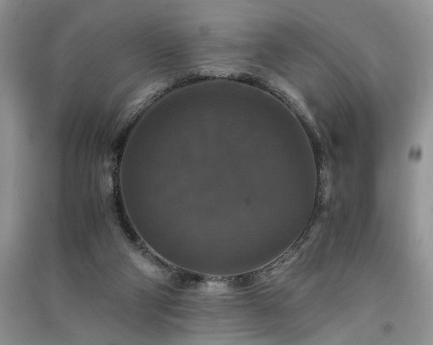 X0000091080114200708131306