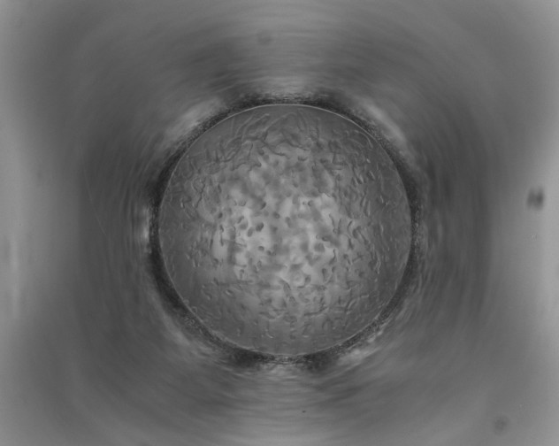 X0000091080115200708131306