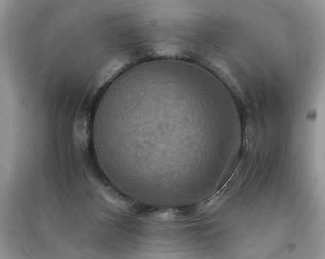 X0000091080116200708131306