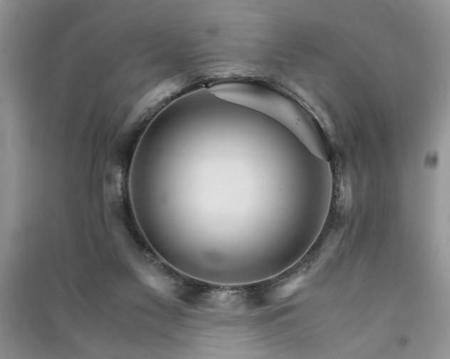 X0000091080117200708131306