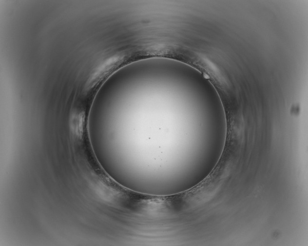 X0000091080118200708131306