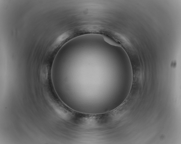 X0000091080120200708131306