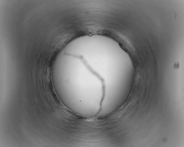 X0000091080121200708131306